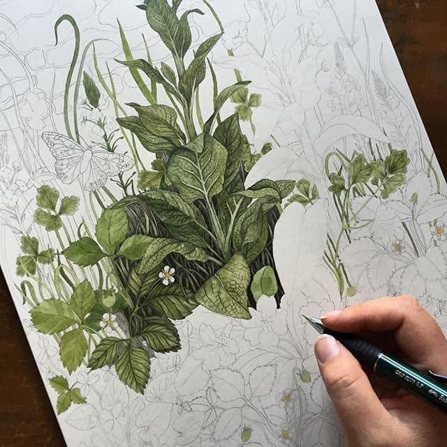 Regular Art Classes (Monthly)