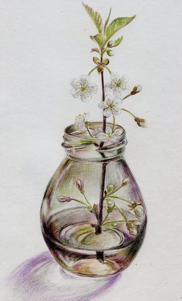 Omoora Creations image 144